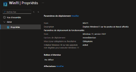 Anneau mises à jour fonctionnalités